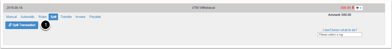 Split Transaction Allocations